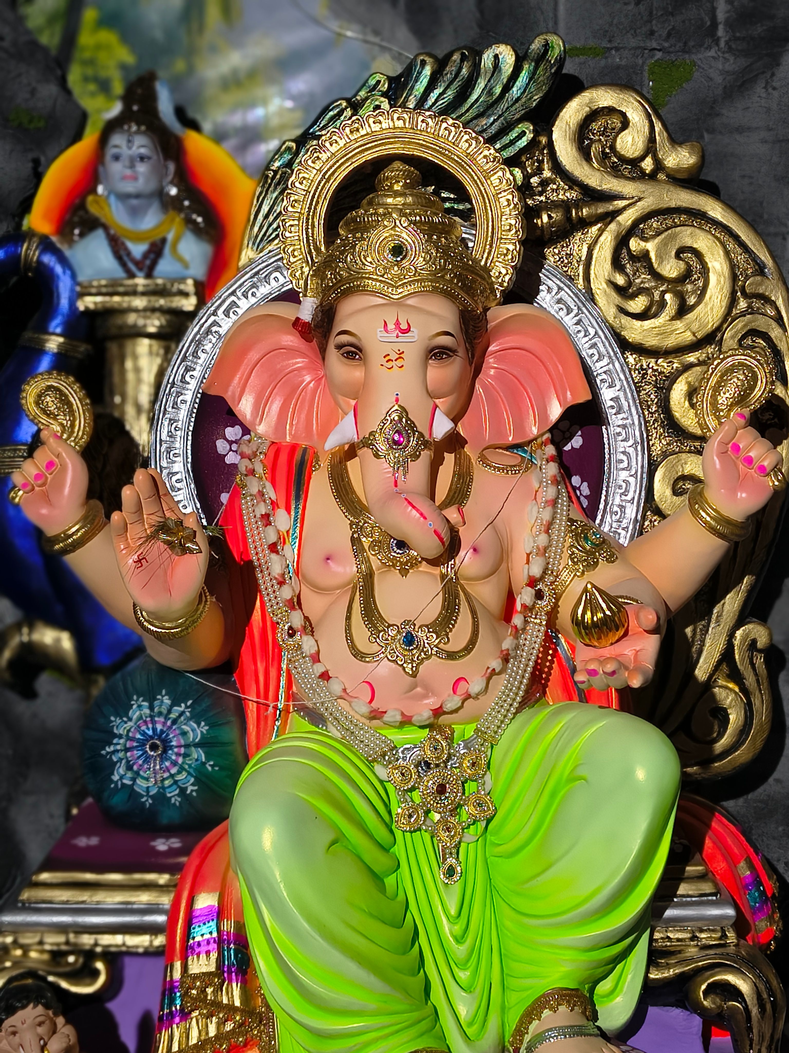 भागडे परिवाराचा राजा