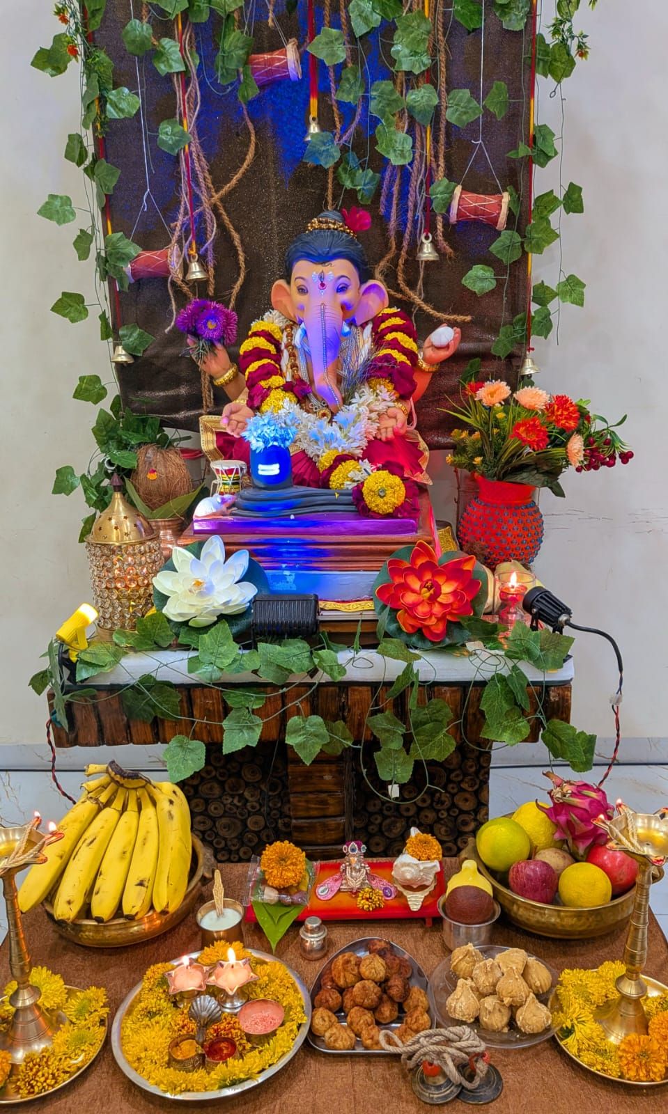 गणेश पर्व 🚩🌺