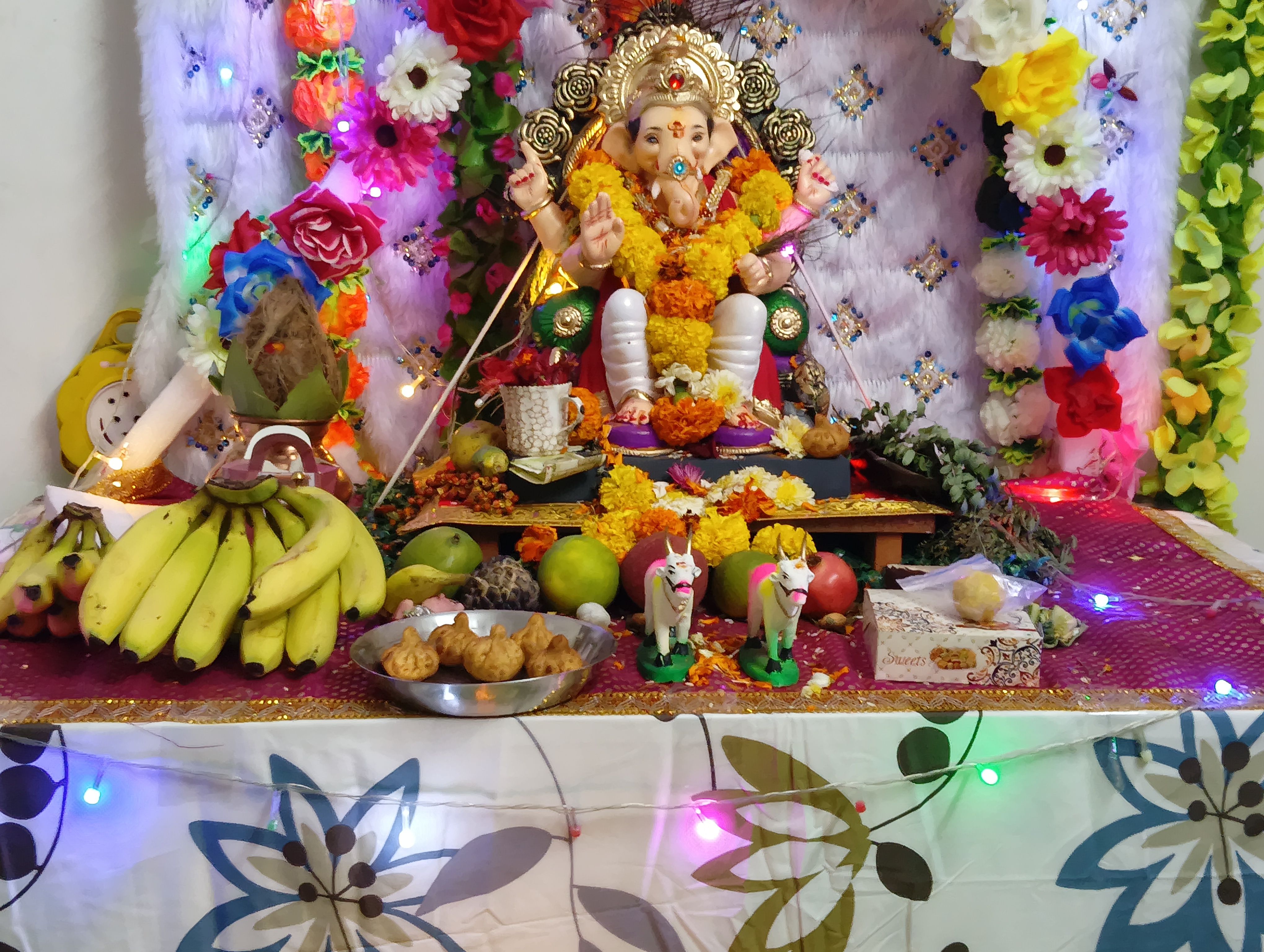 Patil parivar cha Raja