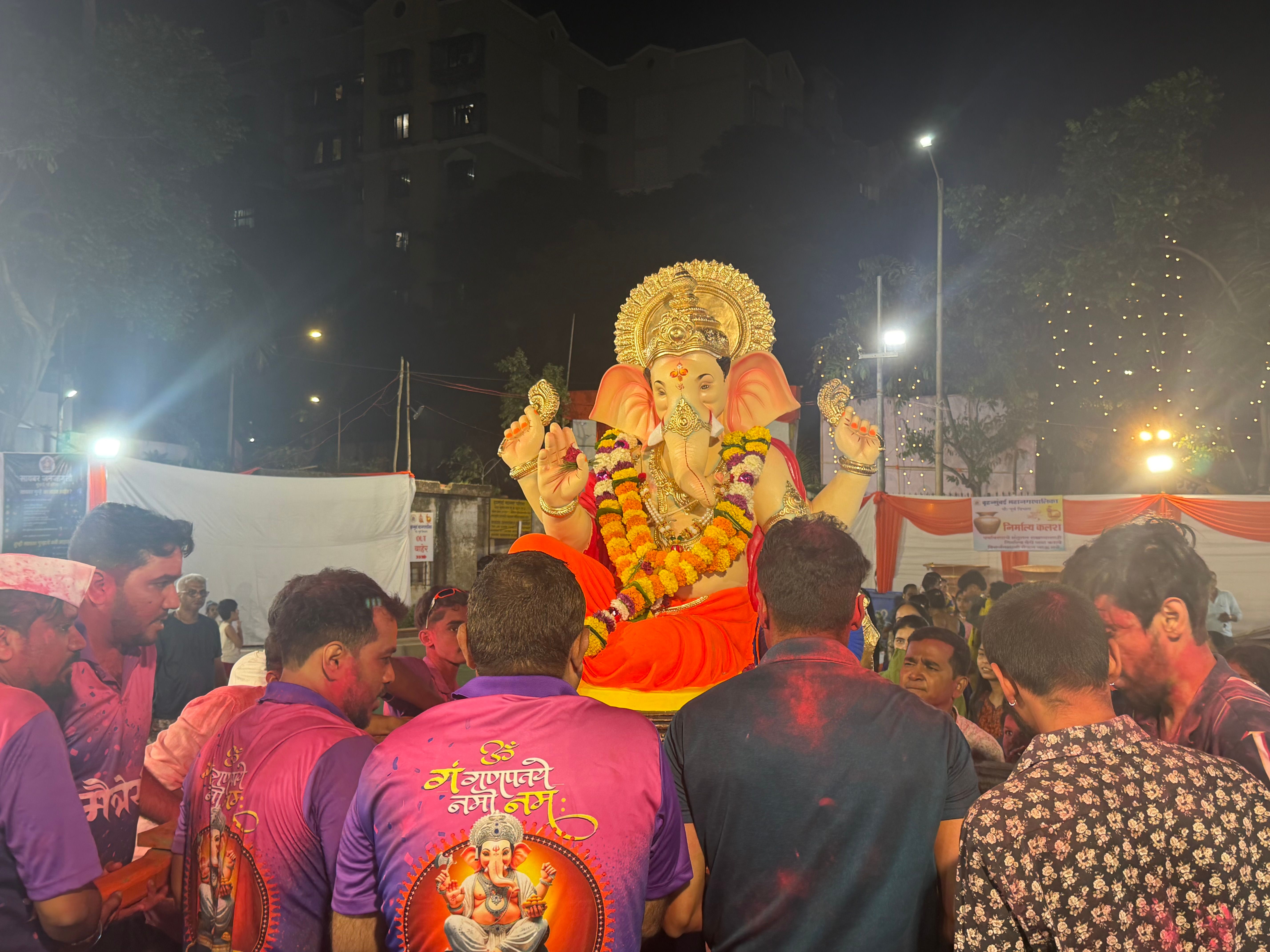 Ganpati Visarjan