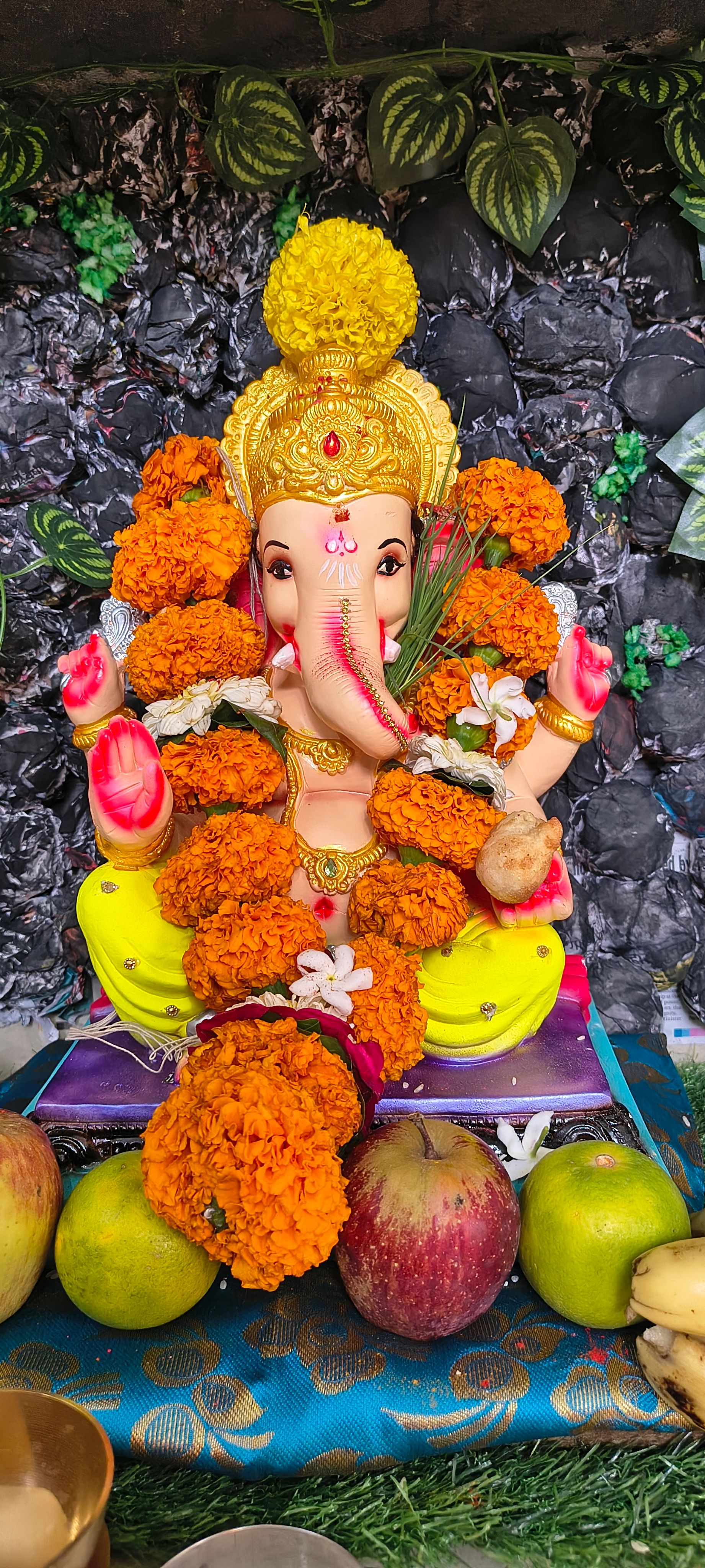   बाप्पा आले घरा 