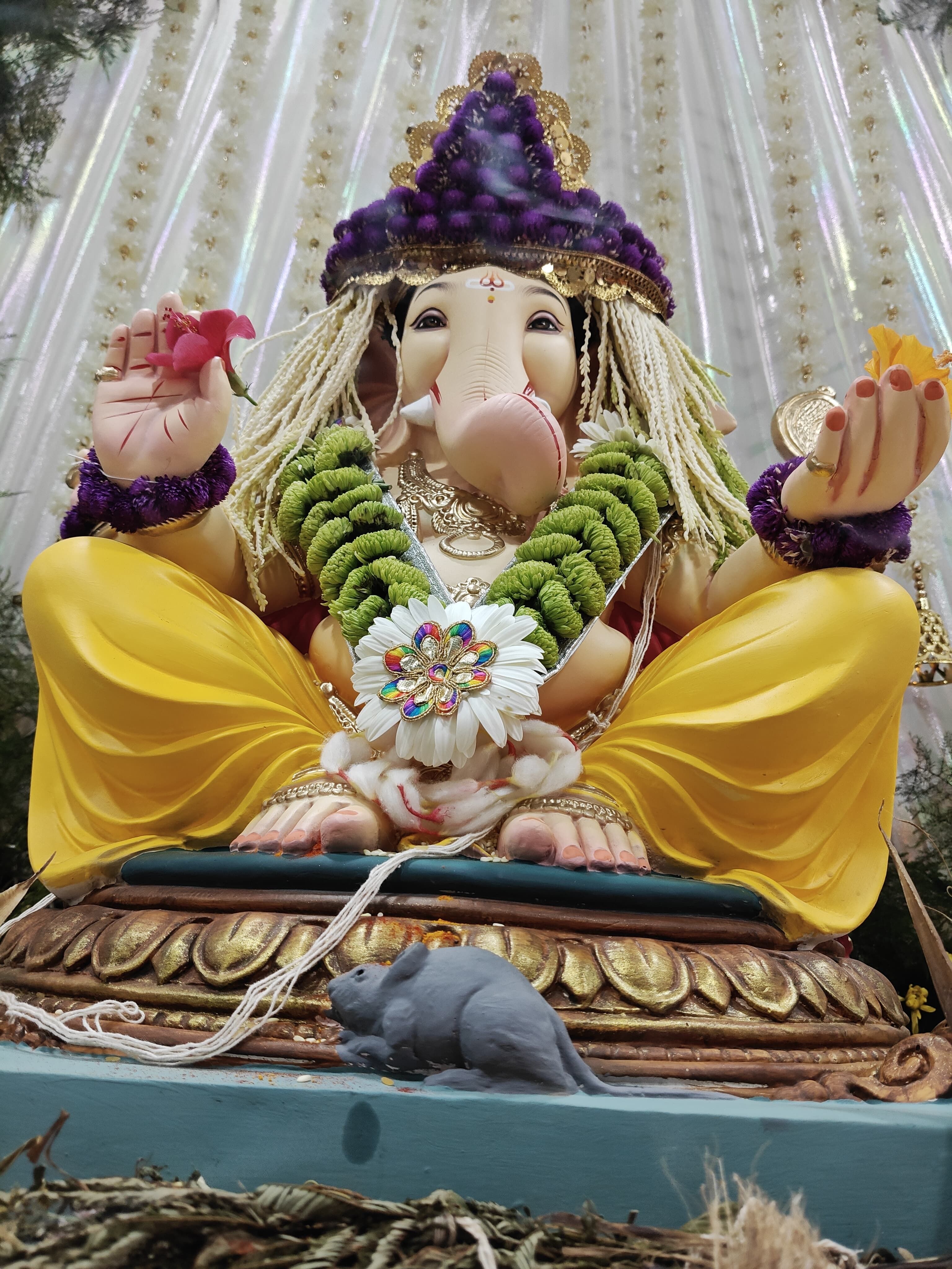 Ganu bal
