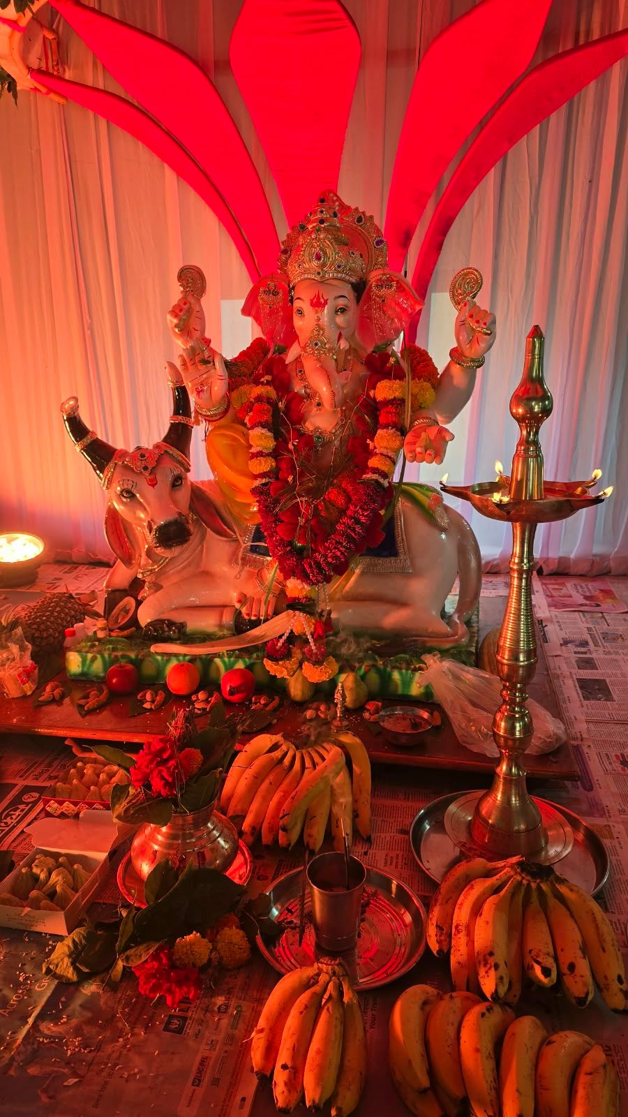 आवळे चा राजा 