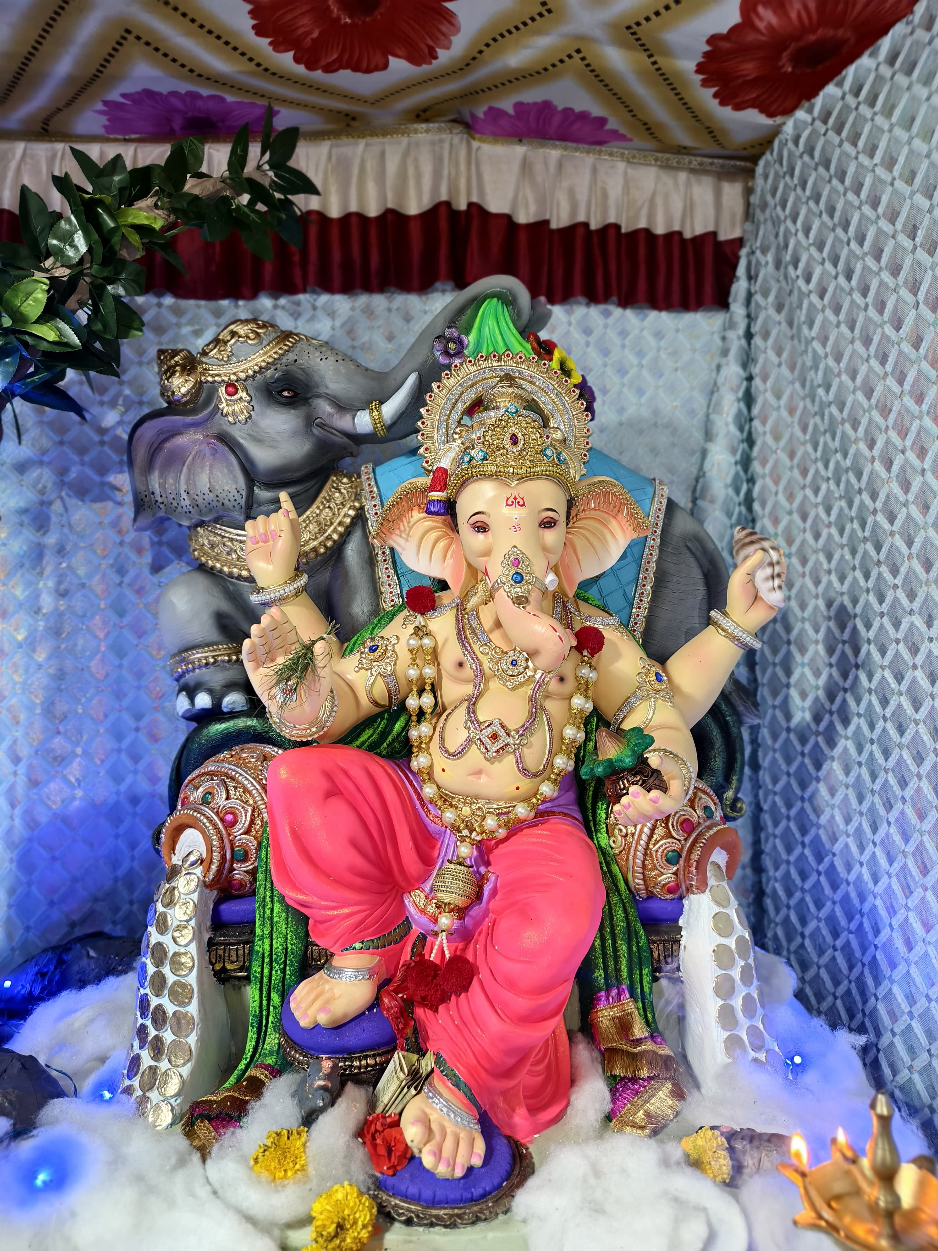 भागडे परिवाराचा राजा 