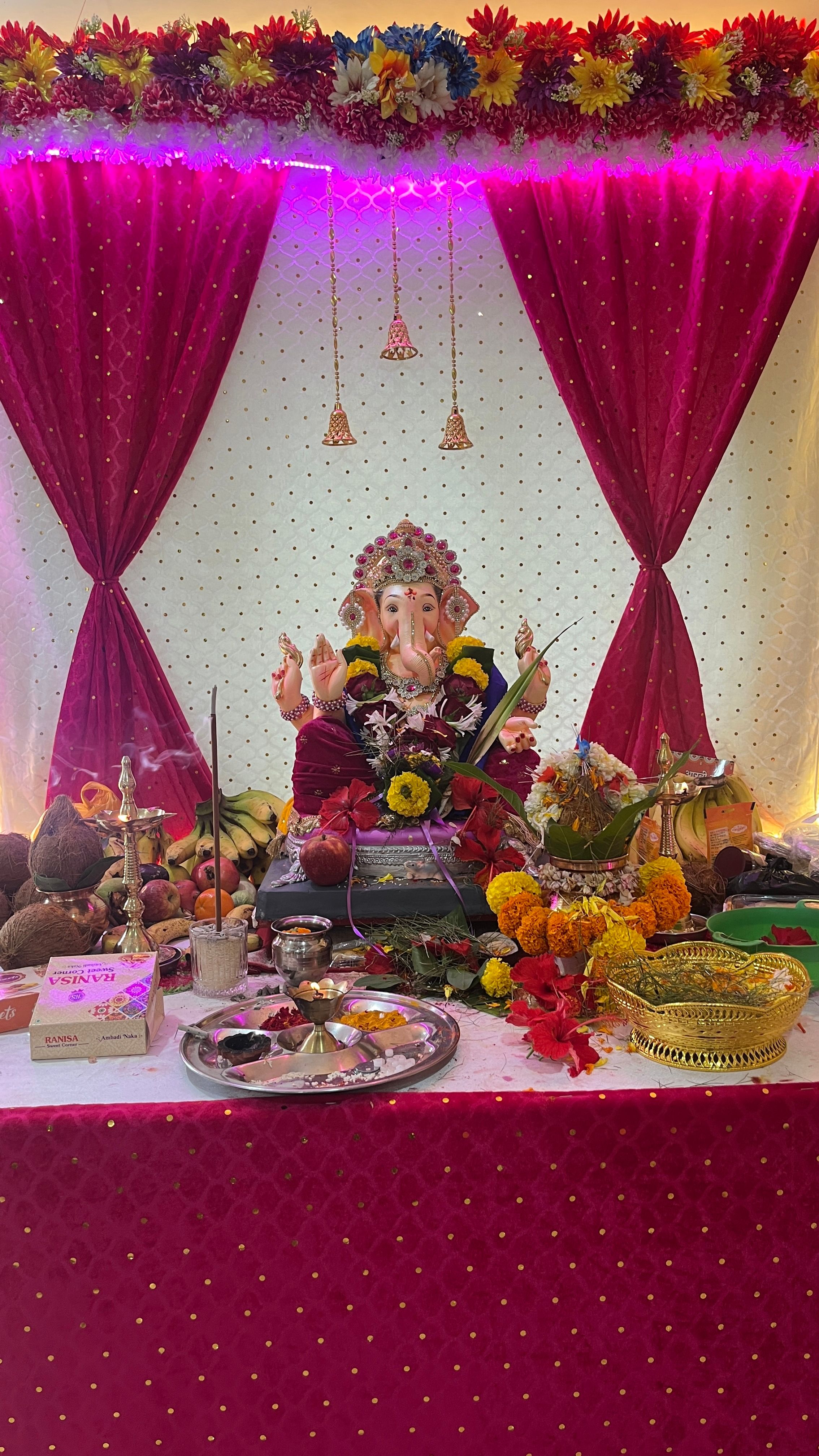 दिघाशी गावचा गणेश उत्सव 