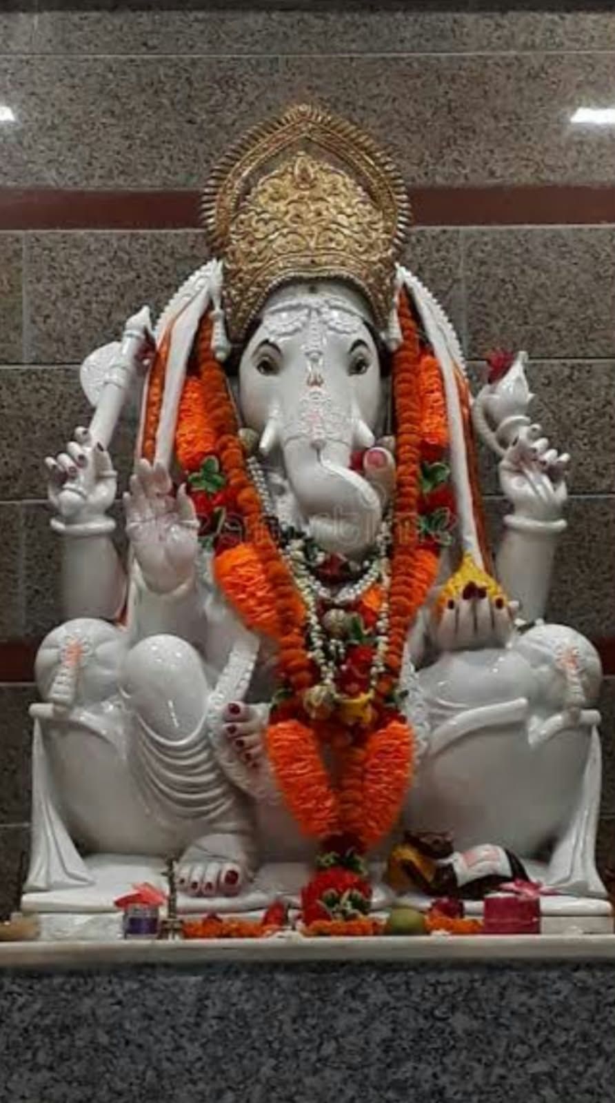 উদাহরণস্বরূপ: আমাদের গলির ৪০ বছরের পুরনো গণপতি।