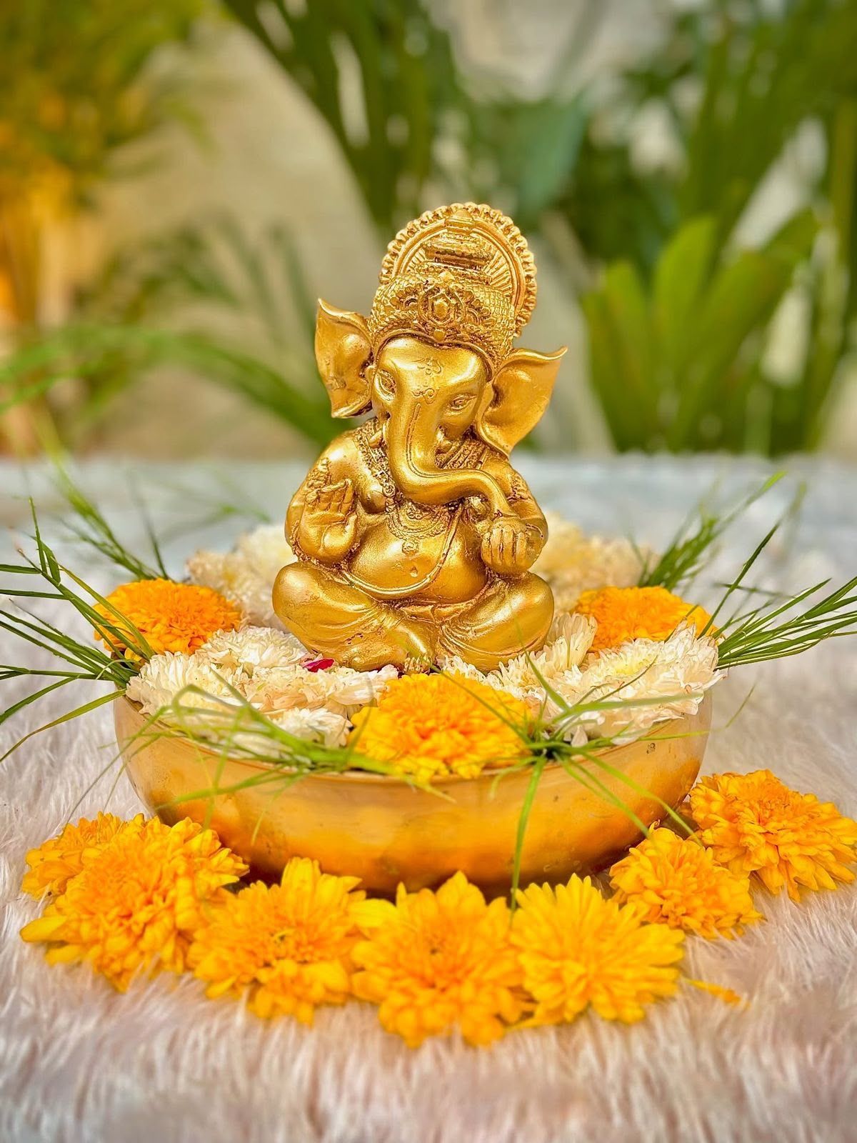 My experience with Ganpati