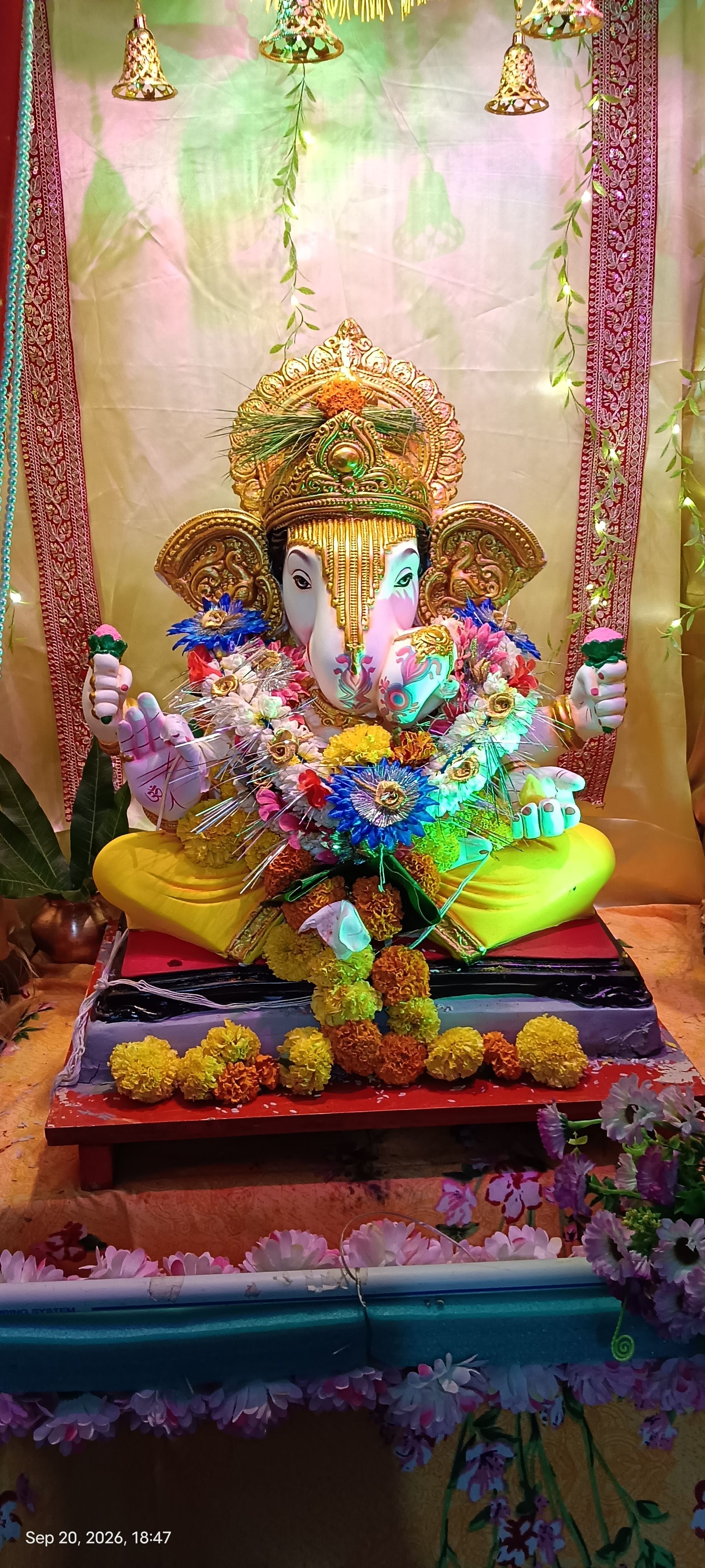 बाप्पा 2026