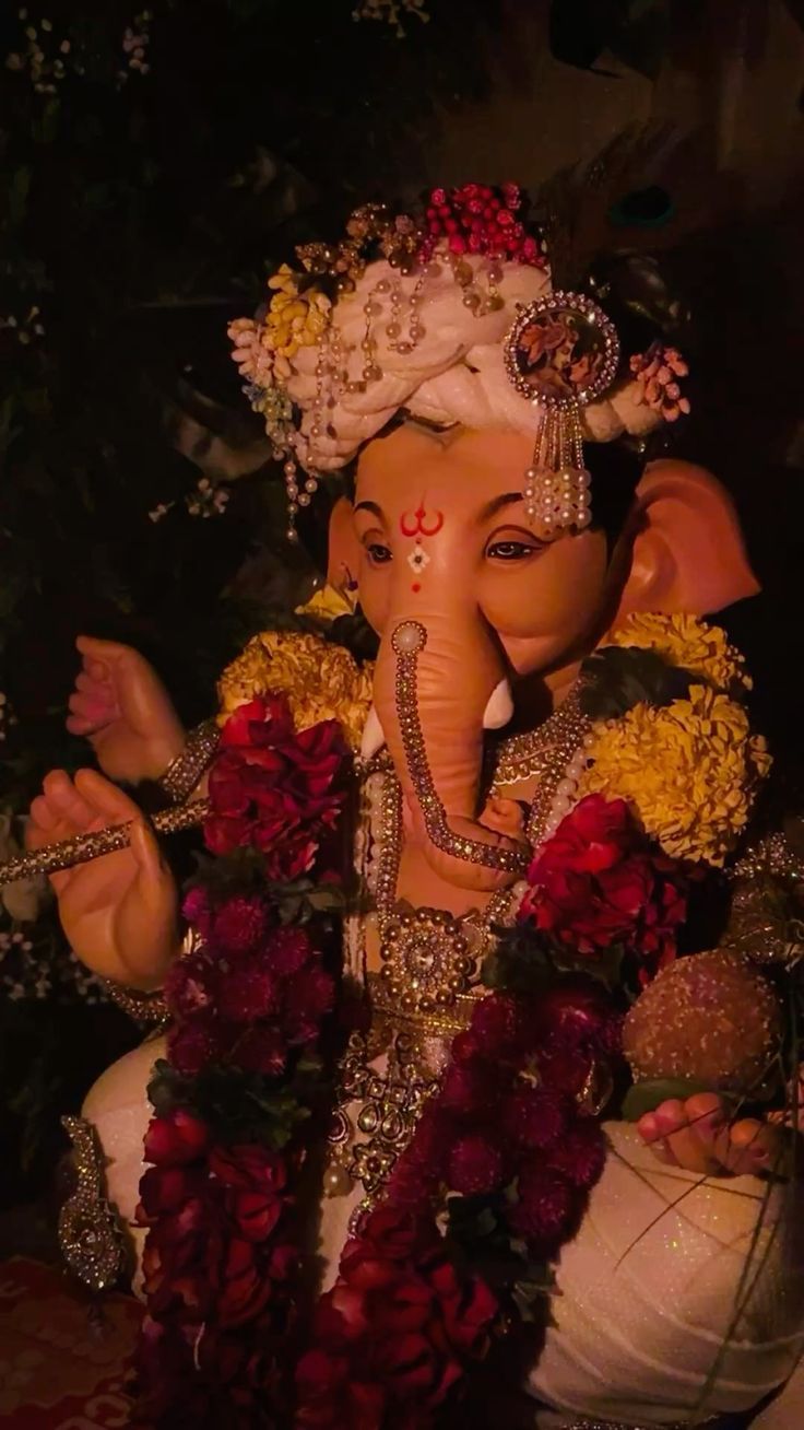 My experience with ganapati