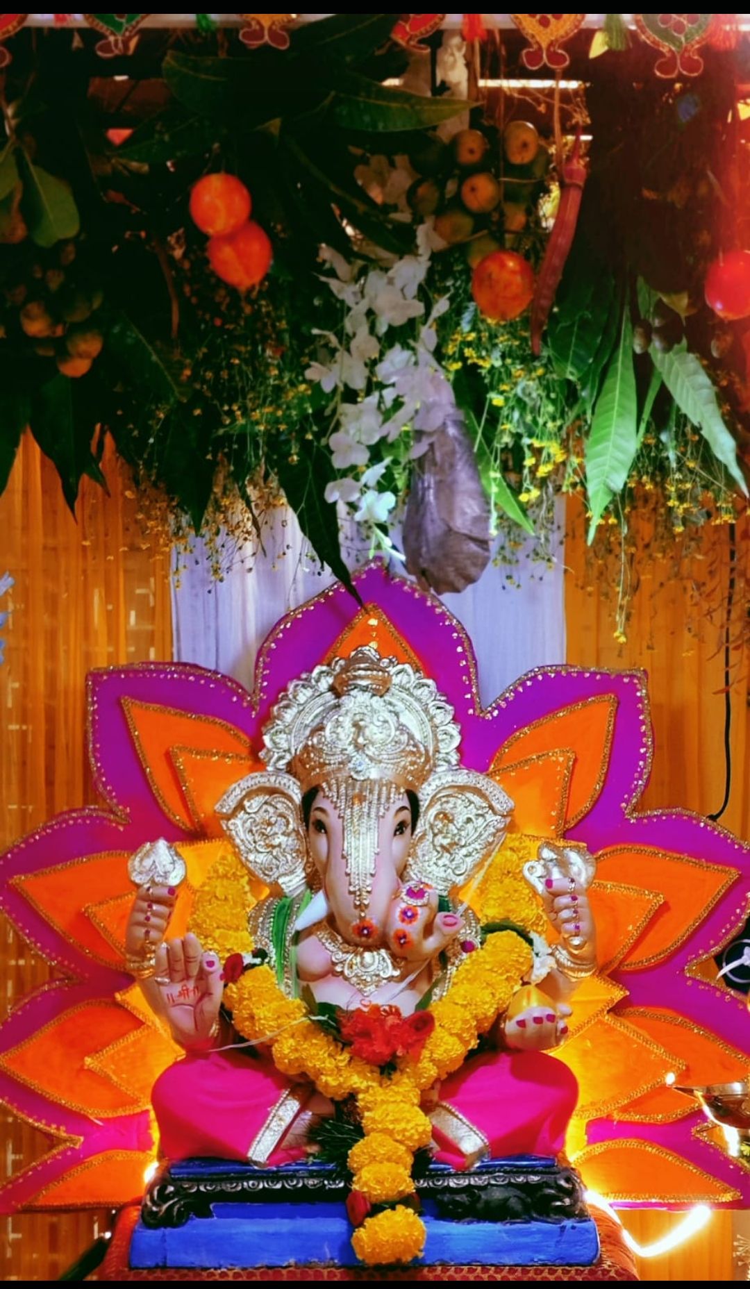आमचा बाप्पा 