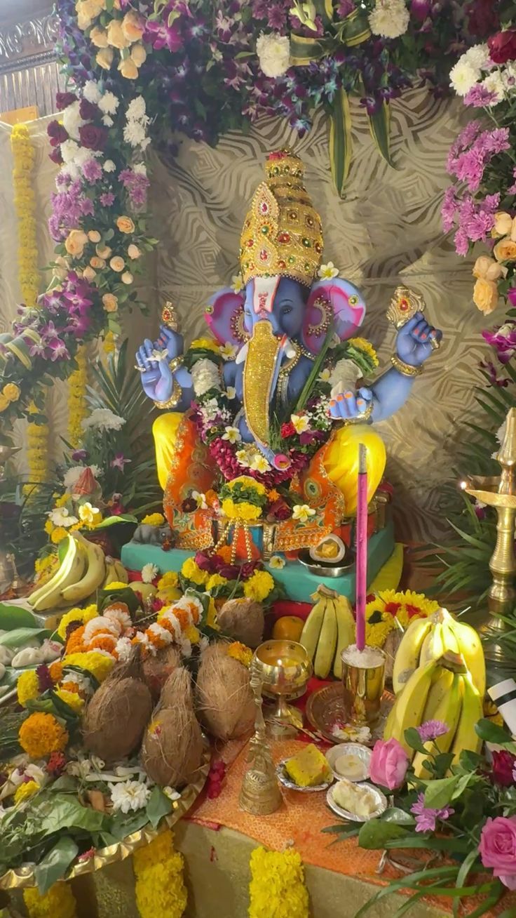 My experience with Ganpati